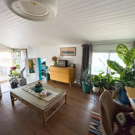 Family Beachfront With Ocean Views Apartment