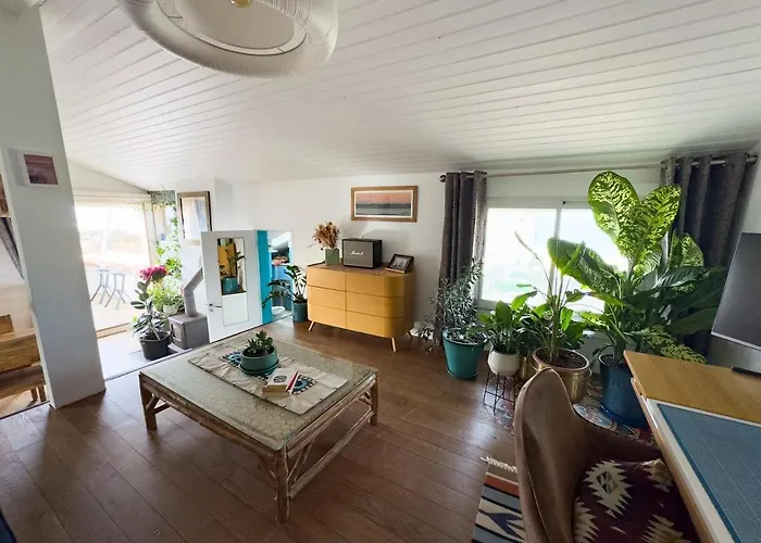 Family Beachfront With Ocean Views Apartment