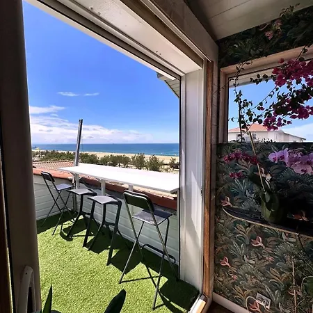 Appartement Family Beachfront With Ocean Views Soorts-Hossegor
